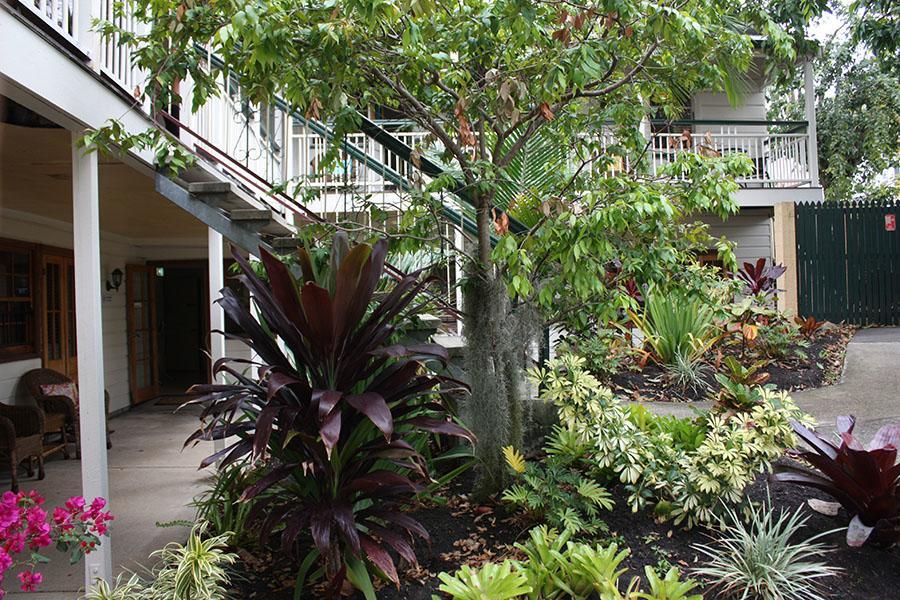 Ellie'S Guest House Brisbane Exterior foto